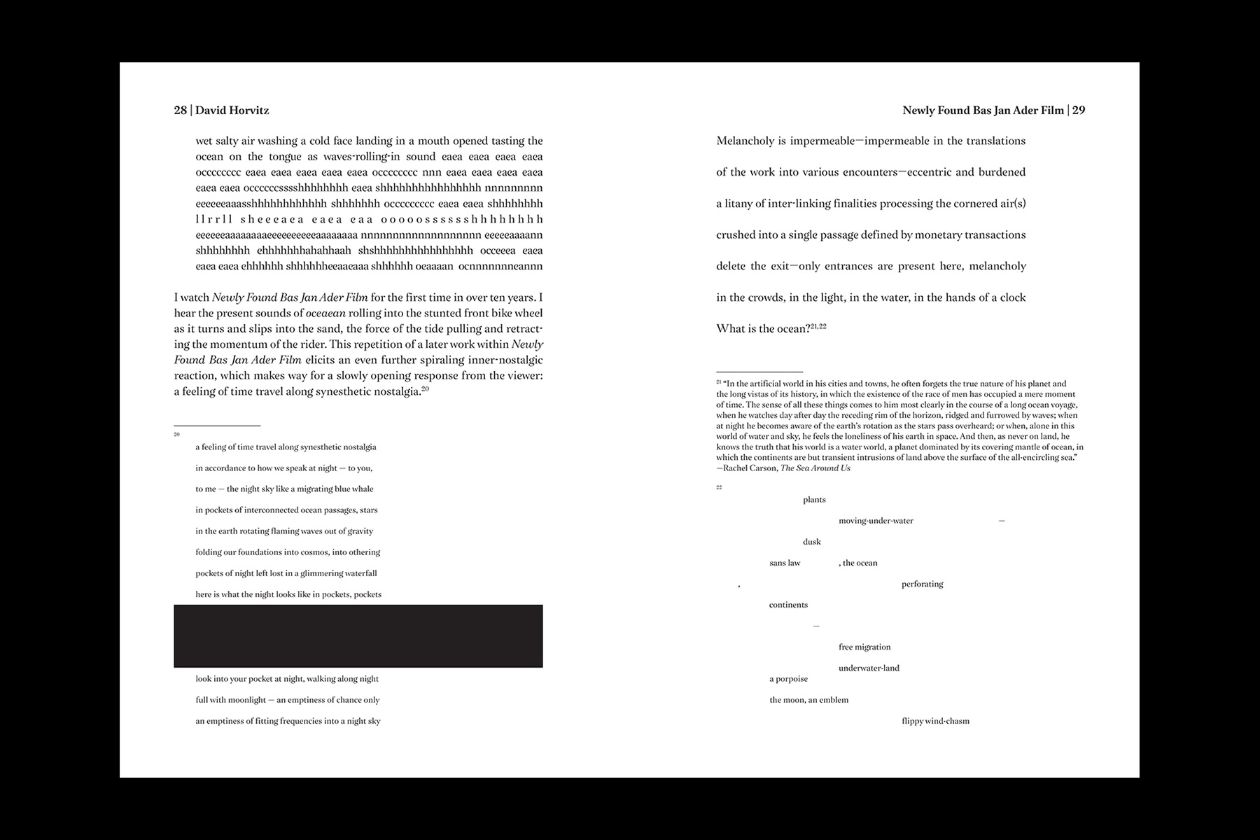 David Horvitz: (in all its different manifestations) — Brooks Heintzelman, 2021