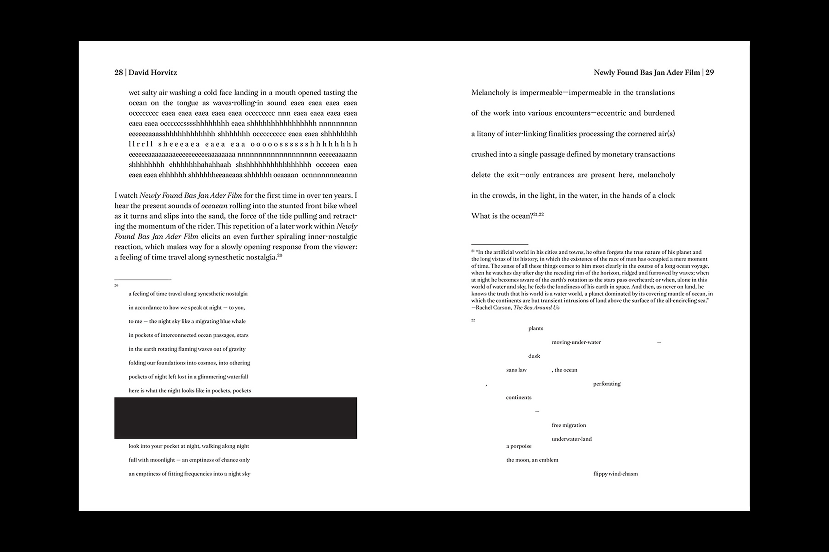 David Horvitz: (in all its different manifestations)