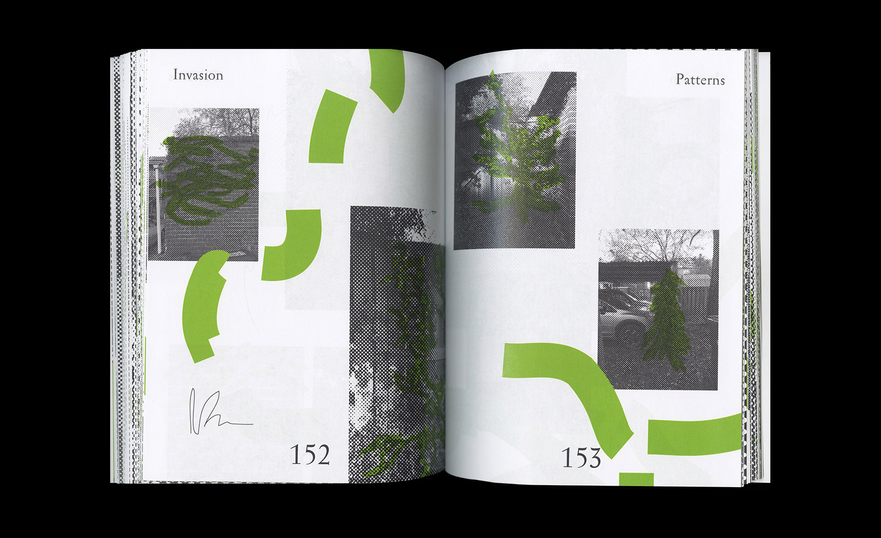 Invasion Patterns — Brooks Heintzelman, 2017