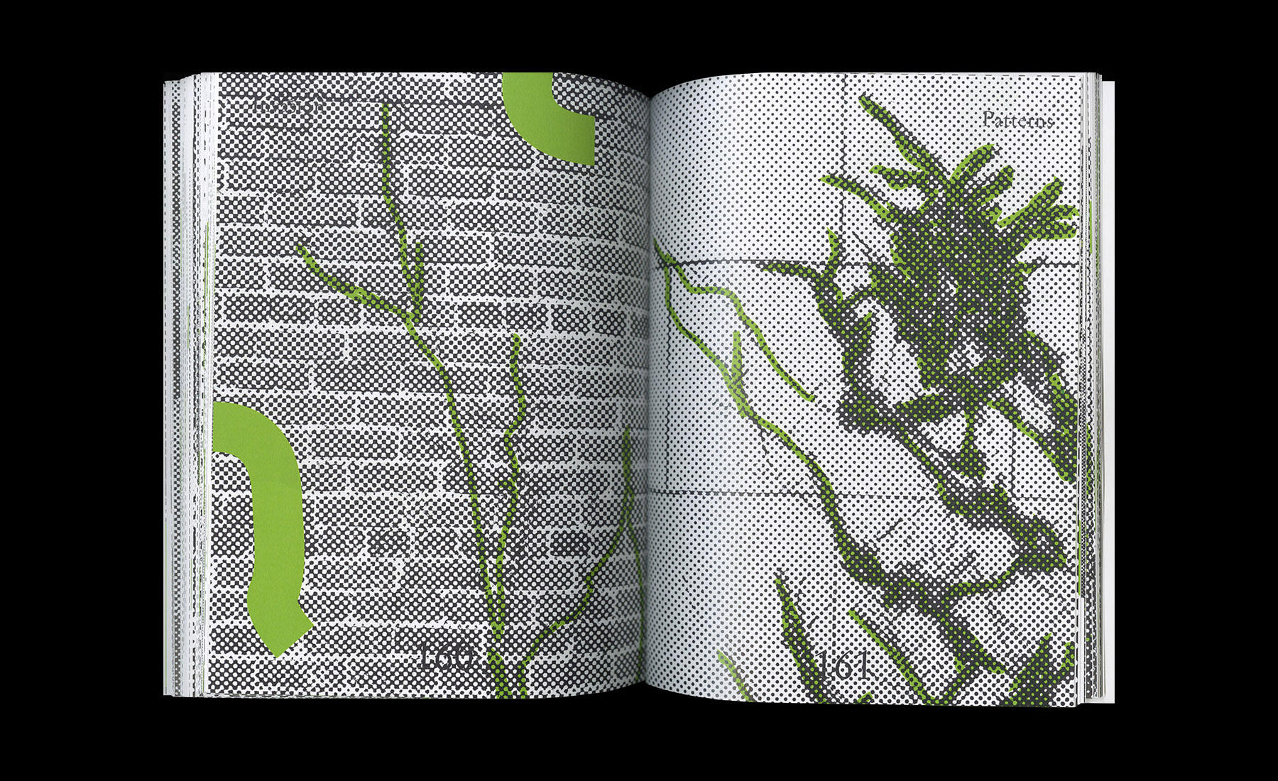 Invasion Patterns — Brooks Heintzelman, 2017