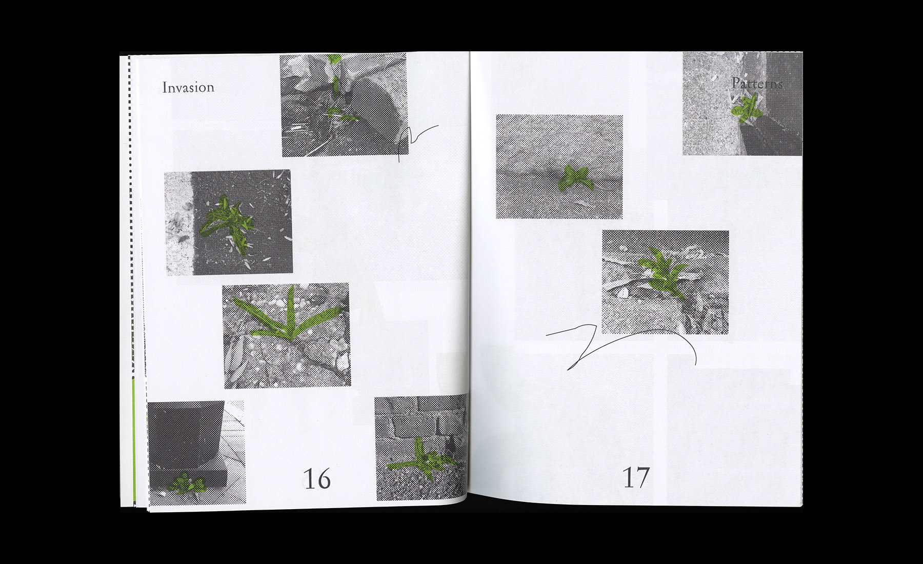 Invasion Patterns — Brooks Heintzelman, 2017