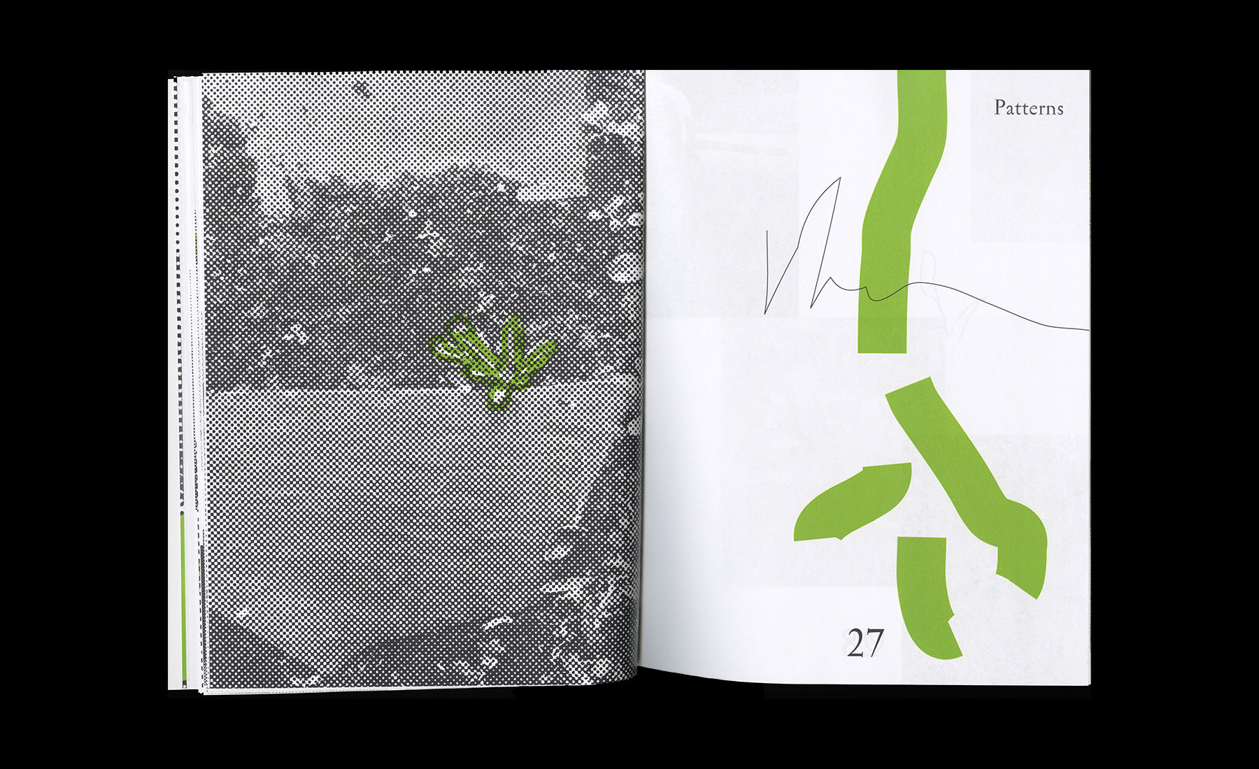 Invasion Patterns — Brooks Heintzelman, 2017