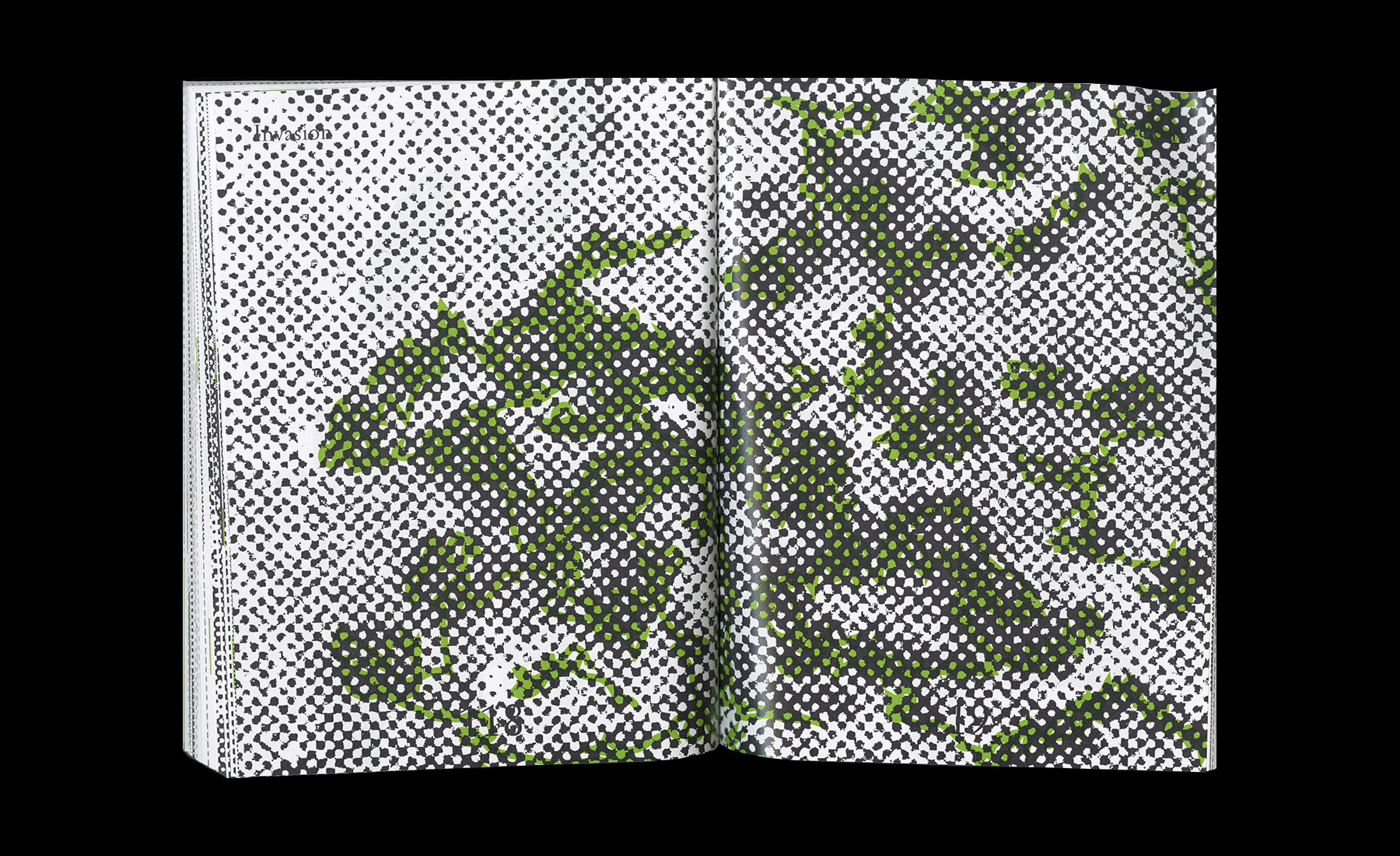 Invasion Patterns — Brooks Heintzelman, 2017