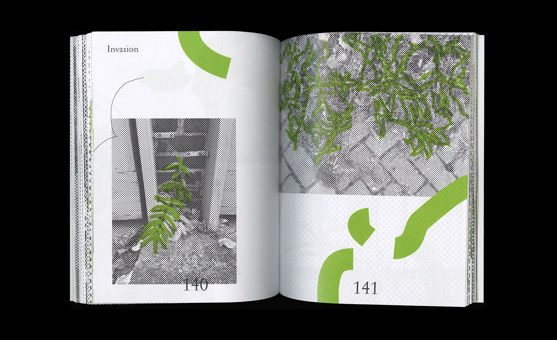 Invasion Patterns — Brooks Heintzelman, 2017